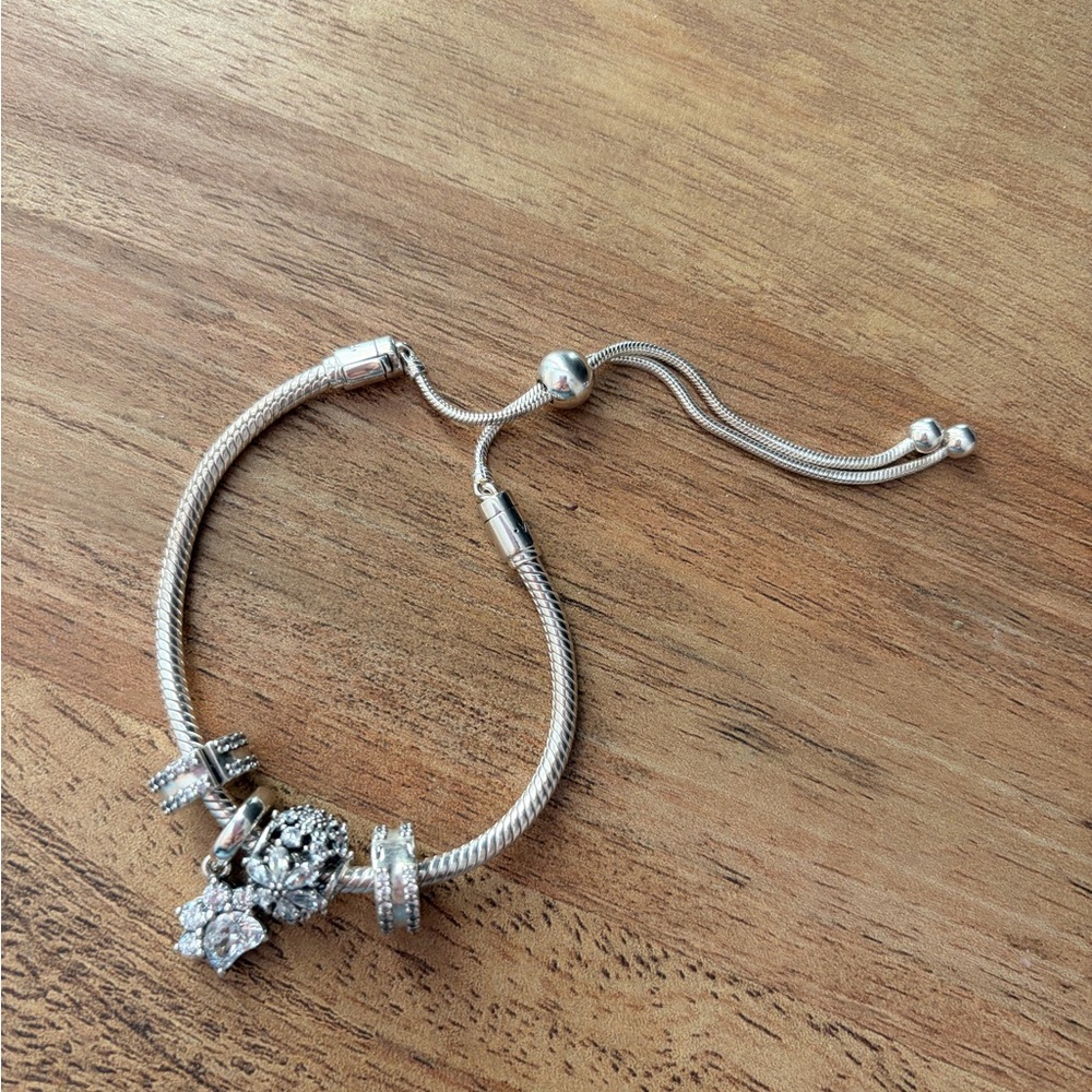 Pandora charm bracelet
